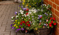 The Oast Care Home Maidstone Kent - Flowers